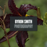 Byron Photography; Web Design